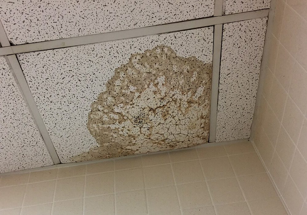 Water damage staining and blistering a ceiling from a long-running leak